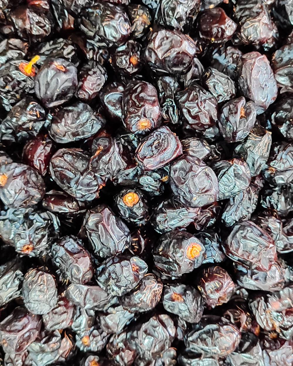 Ajwa dates from Al Freihat